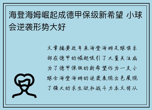 海登海姆崛起成德甲保级新希望 小球会逆袭形势大好